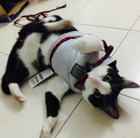 HKM-352211 Kitty Cat Harness with Leash - Comfortable Knitted Fabric & Cotton Cloth - Multiple Sizes Available