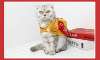 HKM-720275 Cozy Red Cloak for Cats - Acrylic New Year Pet Outfit with Envelope