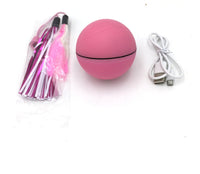 HKM-837139 Cat Laser Exercise Ball with USB Rechargeable Functionality, Irregular Movement for Playful Engagement