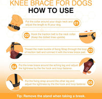 HKM-484307 Dog Knee Brace with Auxiliary Belt for Joint Protection and Mobility Support