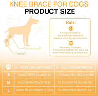 HKM-484307 Dog Knee Brace with Auxiliary Belt for Joint Protection and Mobility Support