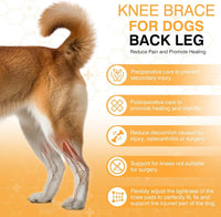 HKM-484307 Dog Knee Brace with Auxiliary Belt for Joint Protection and Mobility Support