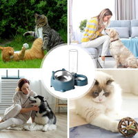HKM-075539 Tilted Cat and Dog Food & Water Bowl Set with Removable Dispenser, 500ml Capacity, Available in Stainless Steel, Plastic, and Ceramic Options