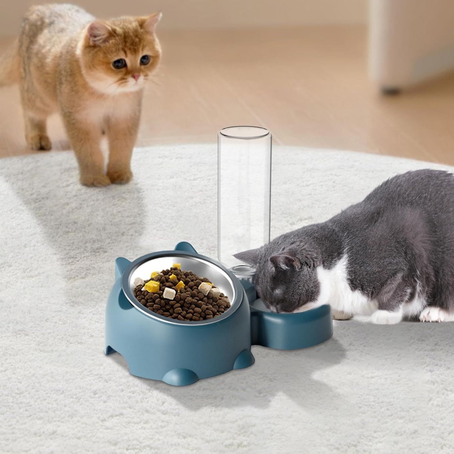 JMT-066954 Tilted Cat and Dog Food & Water Bowl Set with Removable Dispenser, 500ml Capacity, Available in Stainless Steel, Plastic, and Ceramic Options