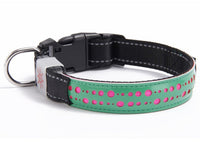 HKM-769811 LED Dog Collar with USB Rechargeable Light - Adjustable Sizes 40cm, 50cm, 60cm