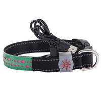 HKM-769811 LED Dog Collar with USB Rechargeable Light - Adjustable Sizes 40cm, 50cm, 60cm