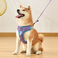 HKM-570387 Breathable Adjustable Dog Harness with Reflective Trim for Small to Medium Pets