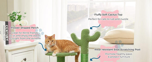 HKM-037331 Cactus Cat Tree with Flower Perch, Soft Top, and Hanging Ball for Indoor Cats