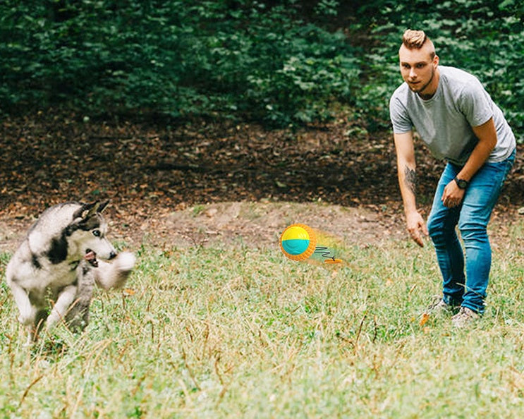 HKM-820179 Retractable Interactive Dog Training Ball with Chewing and Teeth Cleaning Features