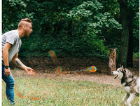 HKM-820179 Retractable Interactive Dog Training Ball with Chewing and Teeth Cleaning Features
