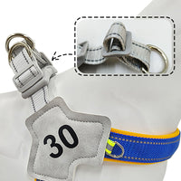 HKM-995219 Adjustable Reflective Chest Harness for Small to Medium Dogs, Comfortable Fit with Soft Buckle