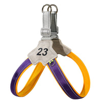 HKM-995219 Adjustable Reflective Chest Harness for Small to Medium Dogs, Comfortable Fit with Soft Buckle