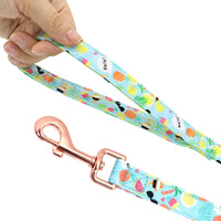 HKM-877331 Adjustable Dog Leash for Small Breeds - Ideal for Teddies and Corgis