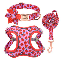 HKM-877331 Adjustable Dog Leash for Small Breeds - Ideal for Teddies and Corgis