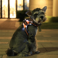 HKM-547667 Adjustable LED Dog Collar with Reflective Strips and Control Handle, Waterproof Oxford Material