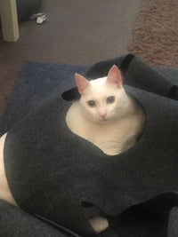 HKM-974931 Cozy Cat Hole Blanket in Gray and Blue - Flame Retardant Polyester with Alloy Features