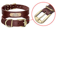 HKM-325715 Personalized Leather Dog Collar with Engraved Golden Nameplate for Medium to Large Breeds
