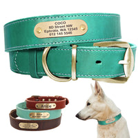 HKM-325715 Personalized Leather Dog Collar with Engraved Golden Nameplate for Medium to Large Breeds