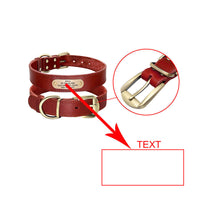 HKM-325715 Personalized Leather Dog Collar with Engraved Golden Nameplate for Medium to Large Breeds