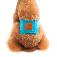 HKM-983507 Solid Color Physiology Pants for Male Dogs