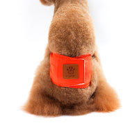 HKM-983507 Solid Color Physiology Pants for Male Dogs