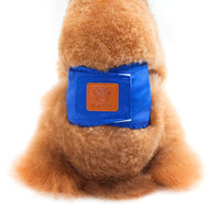 HKM-983507 Solid Color Physiology Pants for Male Dogs