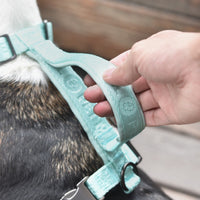 HKM-948947 Adjustable Embroidered Jacquard Dog Harness for Comfort and Safety