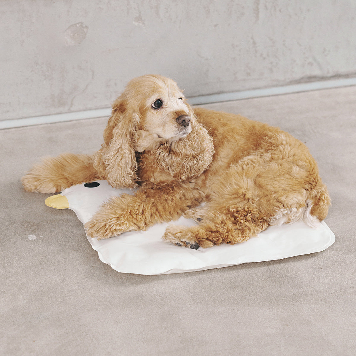 HKM-303123 Cooling Puppy Mat for Dogs and Cats - Washable, Non-Stick Pet Pad for Comfortable Indoor and Outdoor Use