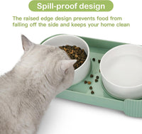 HKM-973139 Elevated Ceramic Cat Bowls with Tilted Stand for Easy Digestion and Anti-Vomiting Design