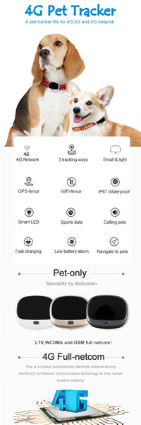 HKM-402771 Netcom Pet Locator Dog Collar with Lithium Battery - Compact GPS Tracker for Dogs (52mm x 42mm x 15mm)