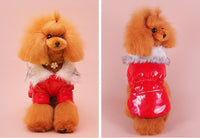 HKM-434579 Puppy Cute Padded Down Jacket for Winter Warmth in Blue, Red, and Pink