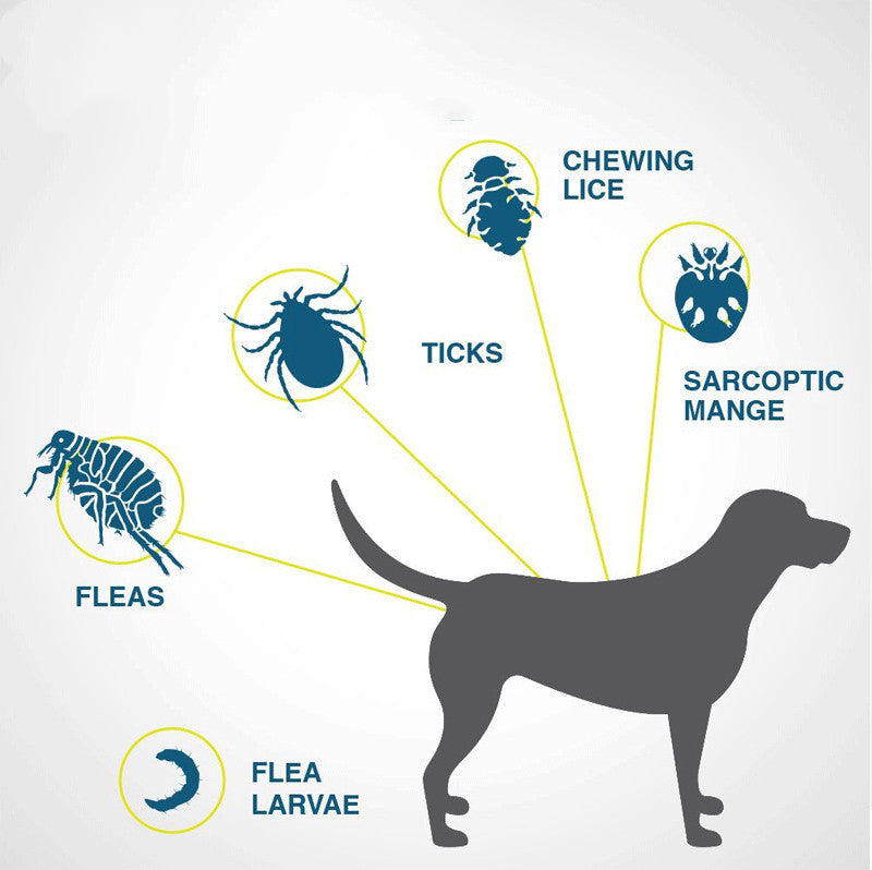 HKM-887379 Adjustable Flea and Tick Prevention Collar for Dogs and Cats