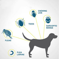 HKM-887379 Adjustable Flea and Tick Prevention Collar for Dogs and Cats