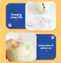 HKM-278099 Interactive Moving Pet Plush Toy with Sounds - Rechargeable Squeaky Dog Toy for Play and Exercise