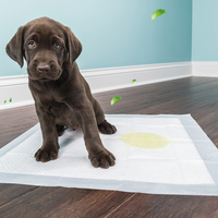 HKM-262611 Absorbent Disposable Pet Diapers for Maximum Dryness and Comfort
