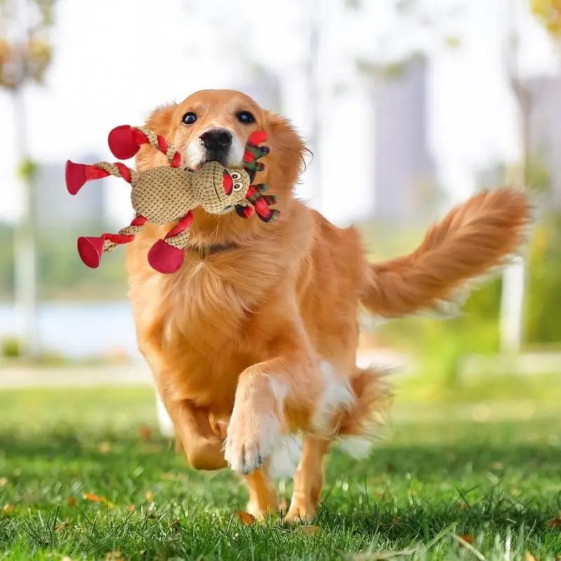 HKM-057939 Interactive Christmas Squeaky Plush Dog Toy for Aggressive Chewers - Ideal for Indoor and Outdoor Play