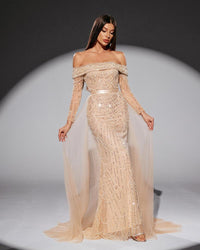 HKM-633299 Elegant Golden Dress for Women's Special Occasions, Style EZ25204
