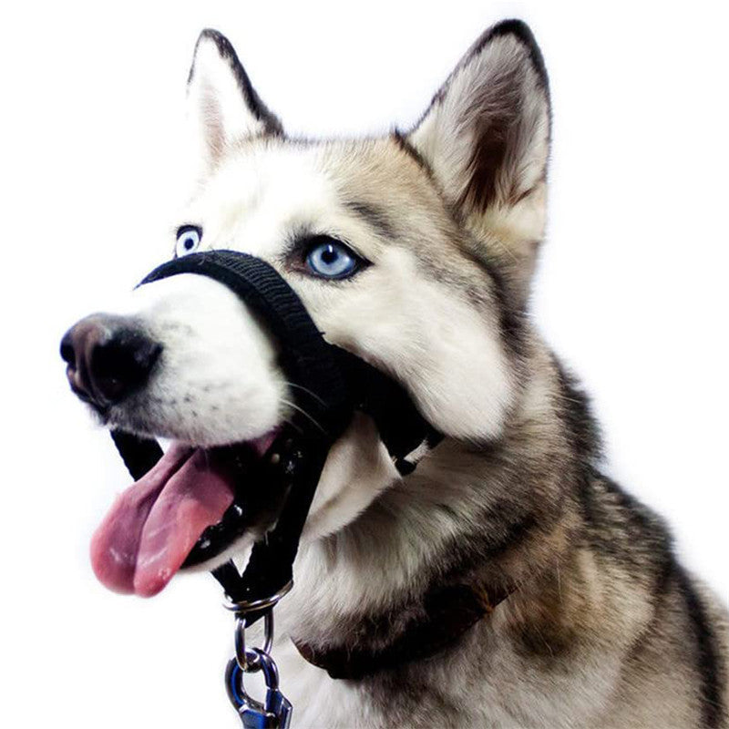 HKM-962451 Adjustable Nylon Anti-Bite Pet Muzzle and Traction Suit in Black