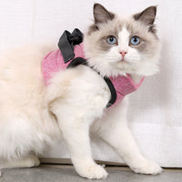 HKM-960147 Adjustable Cat Traction Rope with Chest Strap - Available in Gray and Blue, Sizes S, M, L