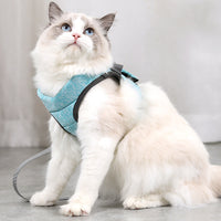 HKM-960147 Adjustable Cat Traction Rope with Chest Strap - Available in Gray and Blue, Sizes S, M, L
