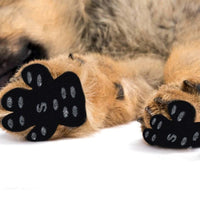 HKM-939603 Invisible Non-Slip Dog Foot Patch - Silica Gel and Nano Material Insole for All Dog Sizes