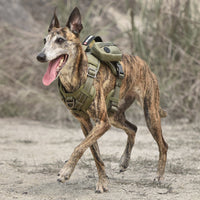HKM-916179 Tactical Dog Harness with Backpack and No Pull Front Clip - Adjustable with Metal Buckles and Pockets