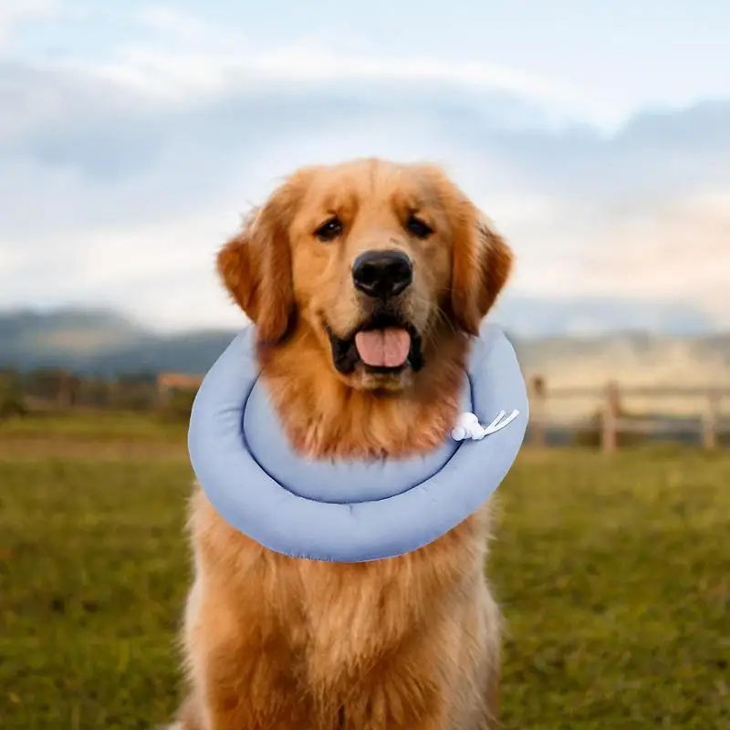 HKM-390419 Adjustable Waterproof Elizabethan Collar for Cats and Dogs - Recovery Cone for Wounds, Multiple Sizes Available