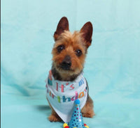 HKM-073299 Dog Birthday Celebration Hat - Cloth Pet Accessory with Paper Crown