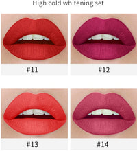 HKM-760595 Cool Smoke Tube Matte Lipstick - Versatile Application with 4 Color Options for Sensitive Skin