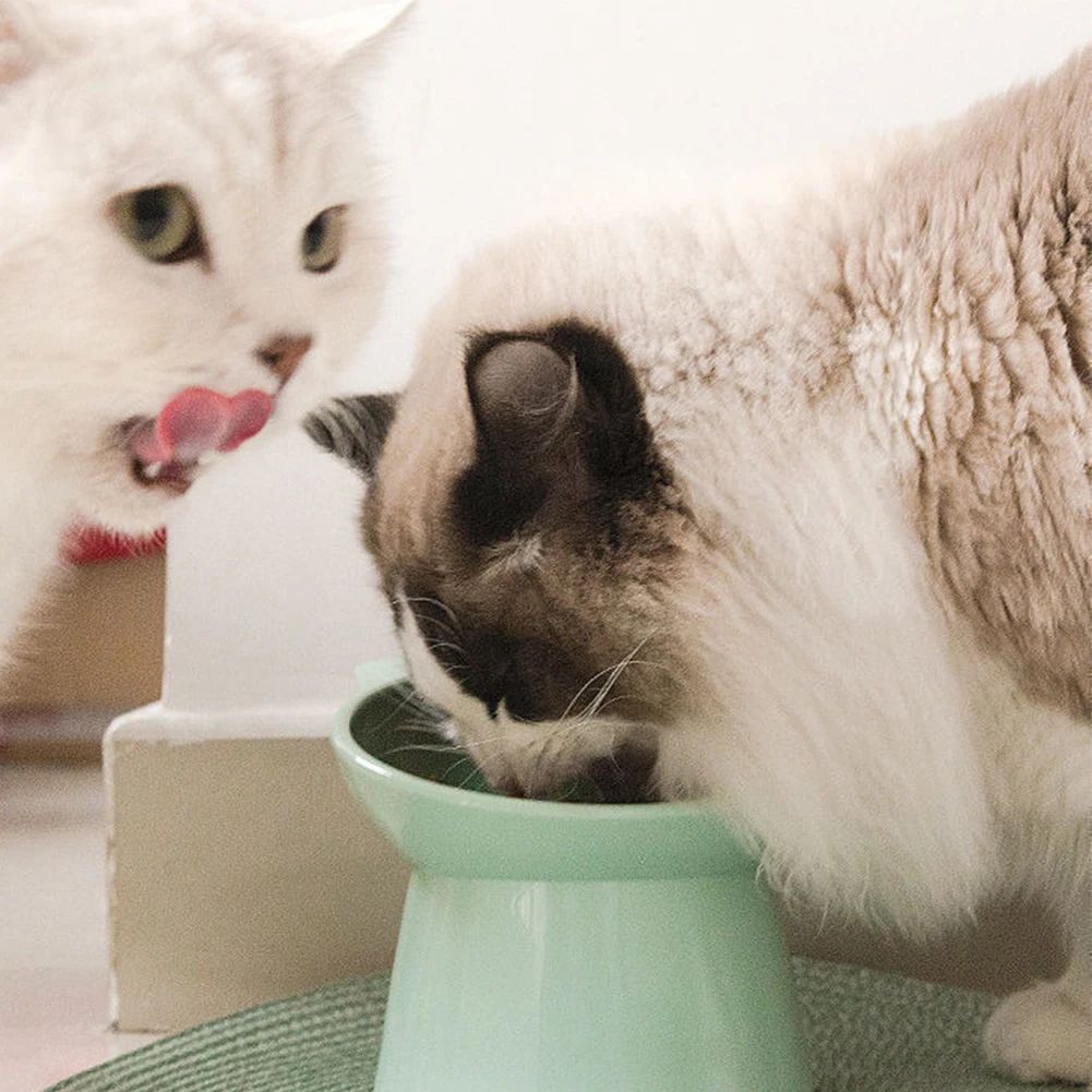 HKM-406675 Elevated Ergonomic Cat Food Bowl for Comfortable Feeding and Reduced Vomiting, Non-Slip Plastic Design