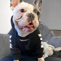 HKM-320787 Winter Dog Jacket with Hood - Casual Pet Apparel for Cold Weather Protection