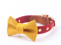 HKM-341843 Canvas Dog Collar with Hand-Holding Rope and Leather Stitching in Various Colors