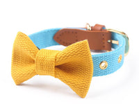 HKM-341843 Canvas Dog Collar with Hand-Holding Rope and Leather Stitching in Various Colors