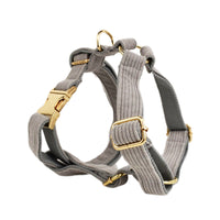HKM-447891 Velvet Fabric Dog Collar with Bow, Flower, Vest, and Leash Accessories